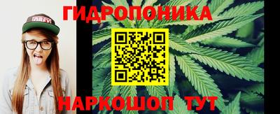 сатива Кинель