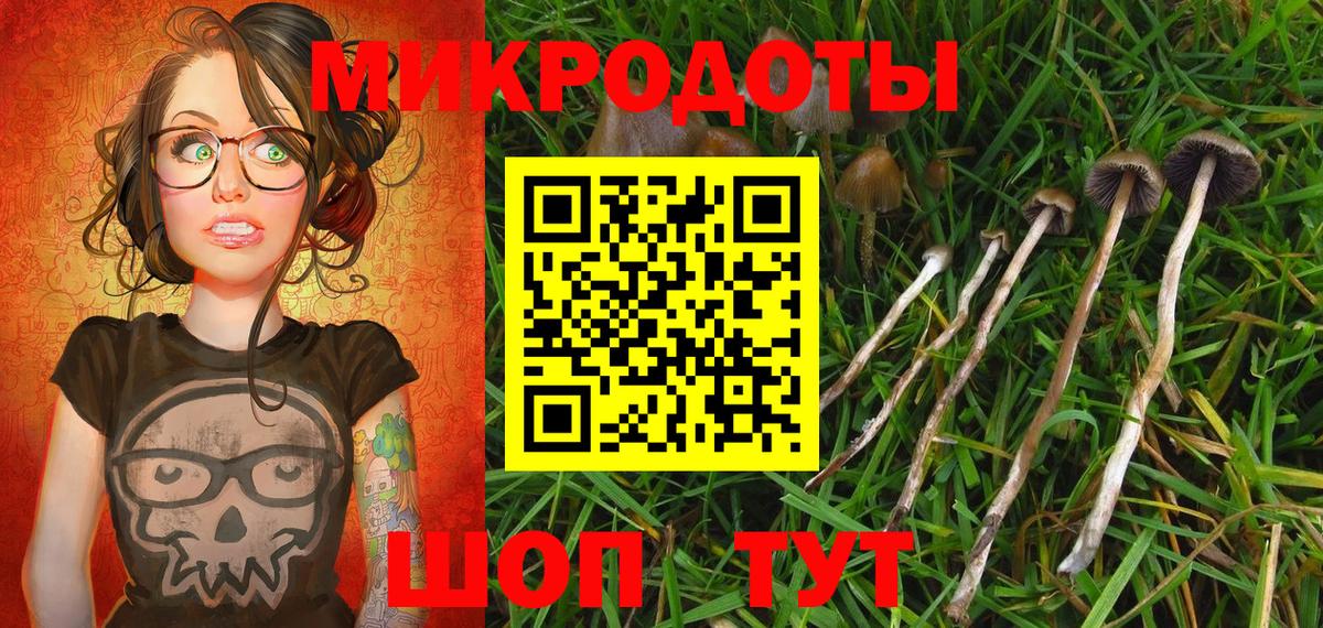 Кропоткин  Галлюциногенные грибы Magic Shrooms  купить   Вход с VPN  Псилоцибиновые грибы Psilocybe 